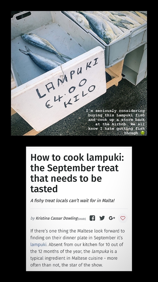 Webp.net-resizeimage (1)